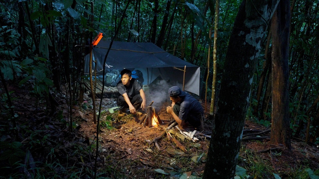 camping saat hujan deras membuat shelter sederhana di pinggir sungai tengah hutan