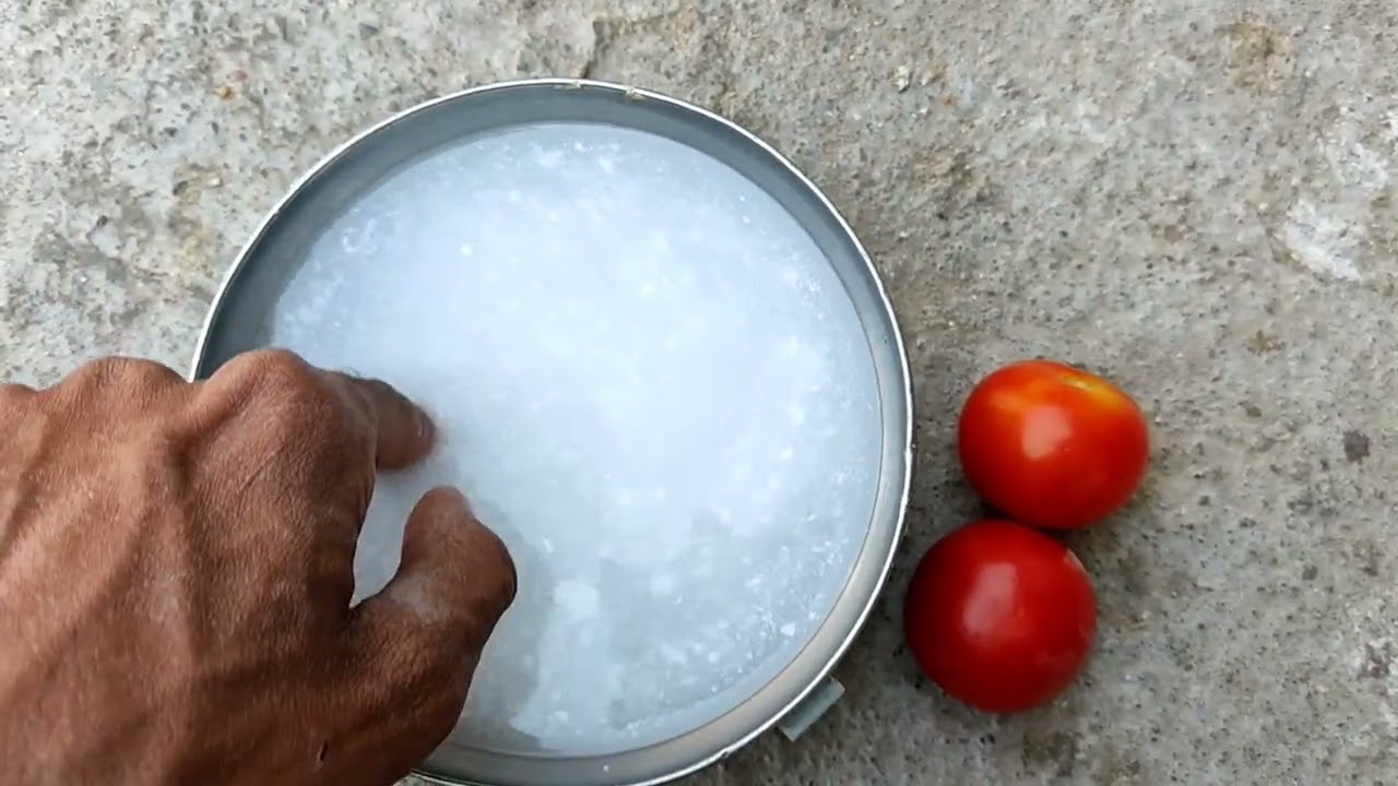 Murgee Ka Pota Jaam Ka Ilaaj