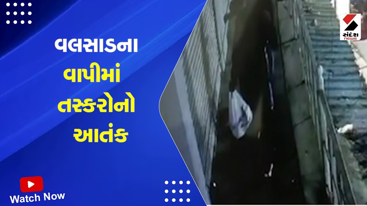 Valsad News | વલસાડના વાપીમા તસ્કરોનો આતંક | Valsad-Vapi Issue | Valsad Police | Gujarati News