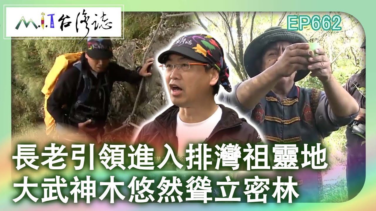 長老引領進入排灣祖靈地　大武神木悠然聳立密林【台灣誌 #662】上山吧 北大武山正呼喚   檜谷坐鎮 影像升空呼風喚雲_20150222 @ctvmit