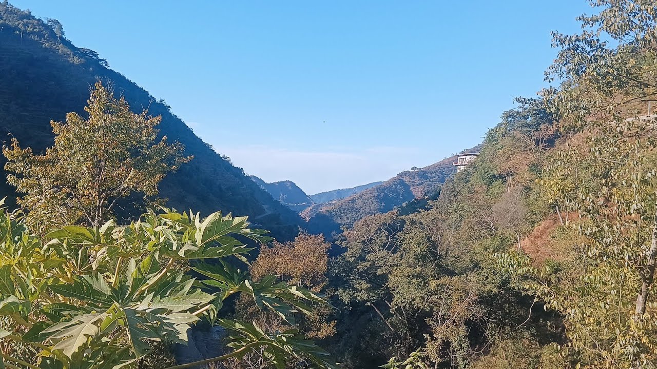 Hills view in uttrakhand 🌲 sukun in real life❤🕊 #vlog #nature #uttrakhand#vlog 