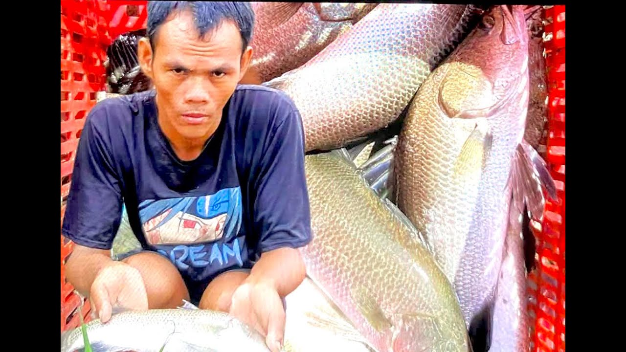 Raising Sea Fish in a Pond: Harvest Time That Makes You Want to Catch Them Yourself!
