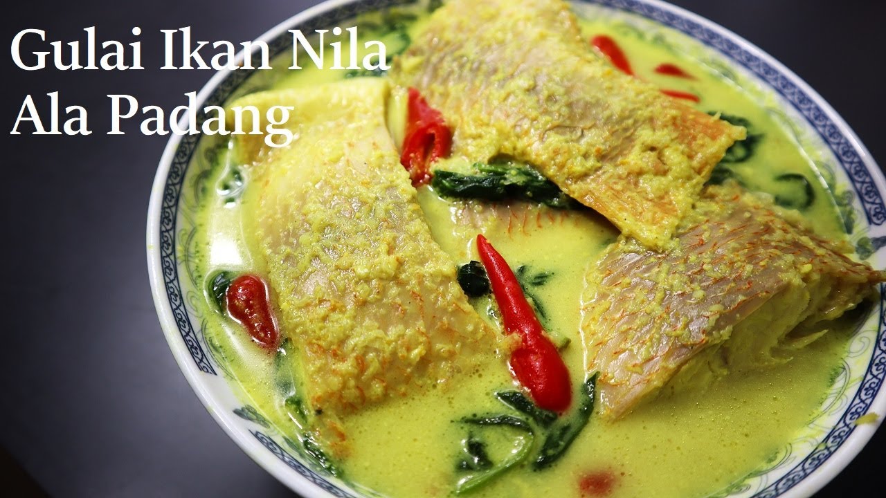 Gulai ikan nila ala Padang yang enak gurih banget