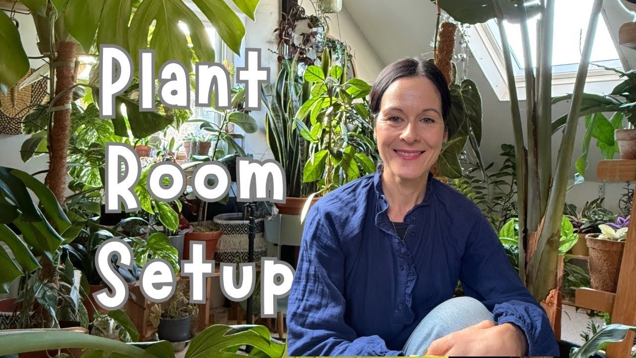 Текущее расположение растений в комнате 🌱 и планирование того, как оформить мою новую комнату 🌱