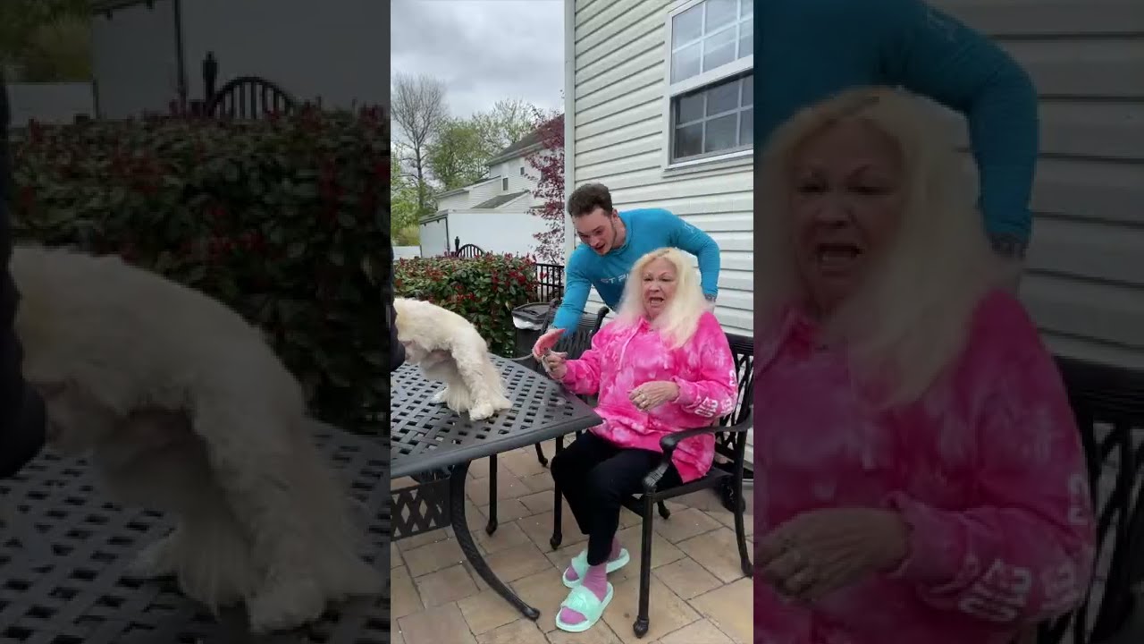 FINGER IN DOGS BUTT PRANK - 