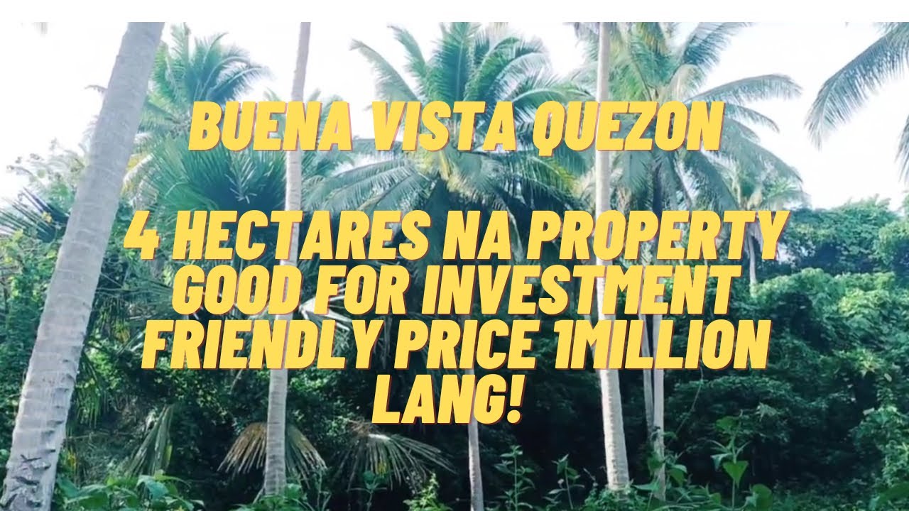 VLOG 81 / BUENA VISTA QUEZON / 4 HECTARES NA PROPERTY FRIENDLY PRICE 1 MILLION / GOOD FOR INVESMENT