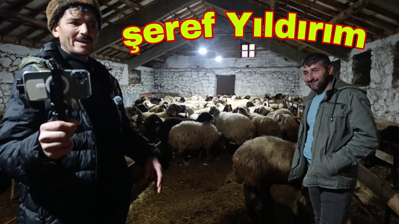 Şeref Yıldırım Belgesel Kanalını Misafir Ettik Güzel Çekim Oldu 