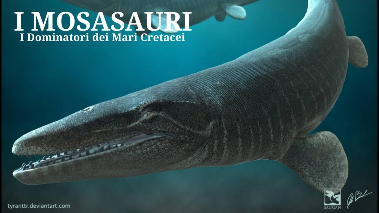 I Mosasauri | I Dominatori dei Mari Cretacei