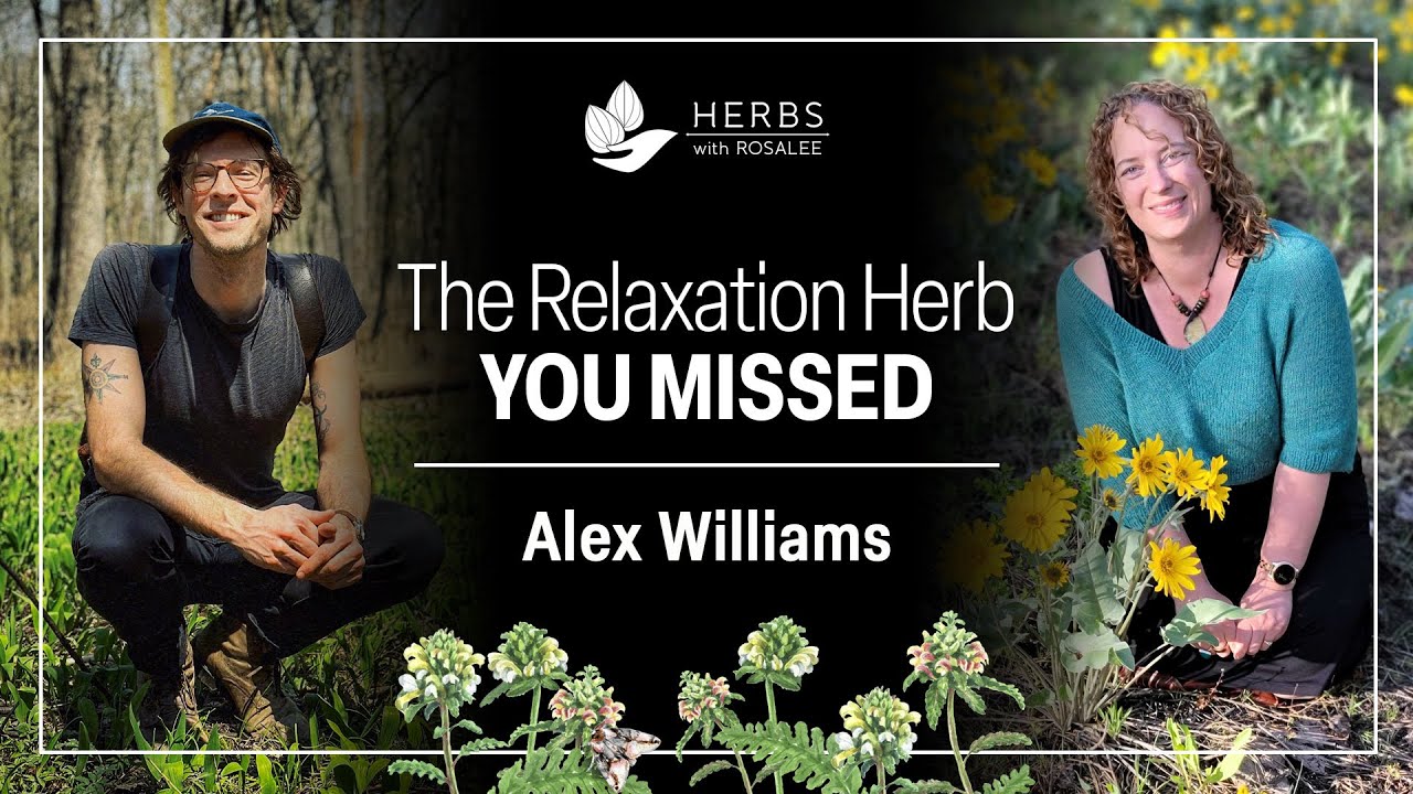 Pedicularis for Deep Muscle Release with Alex Williams