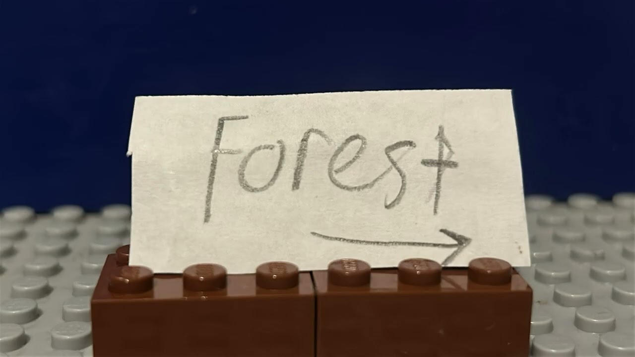 Shadow In The Forest
