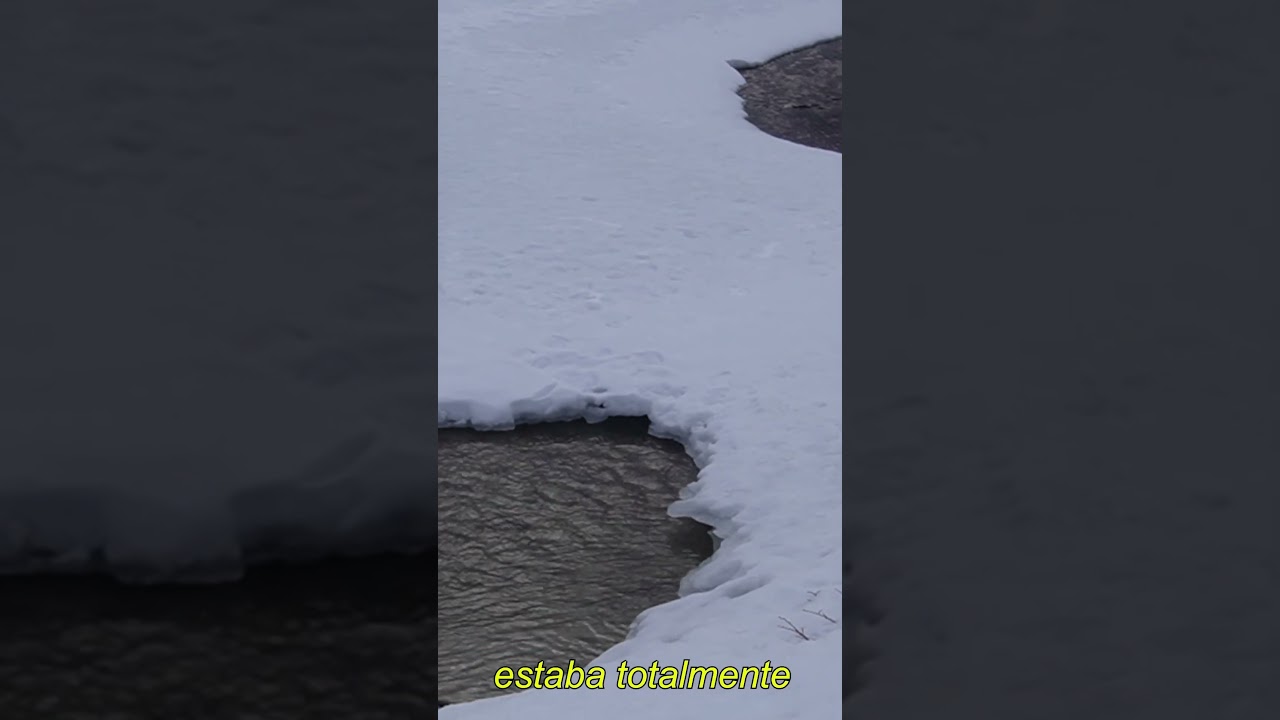 Viendo una laguna congelada por primera vez 😮