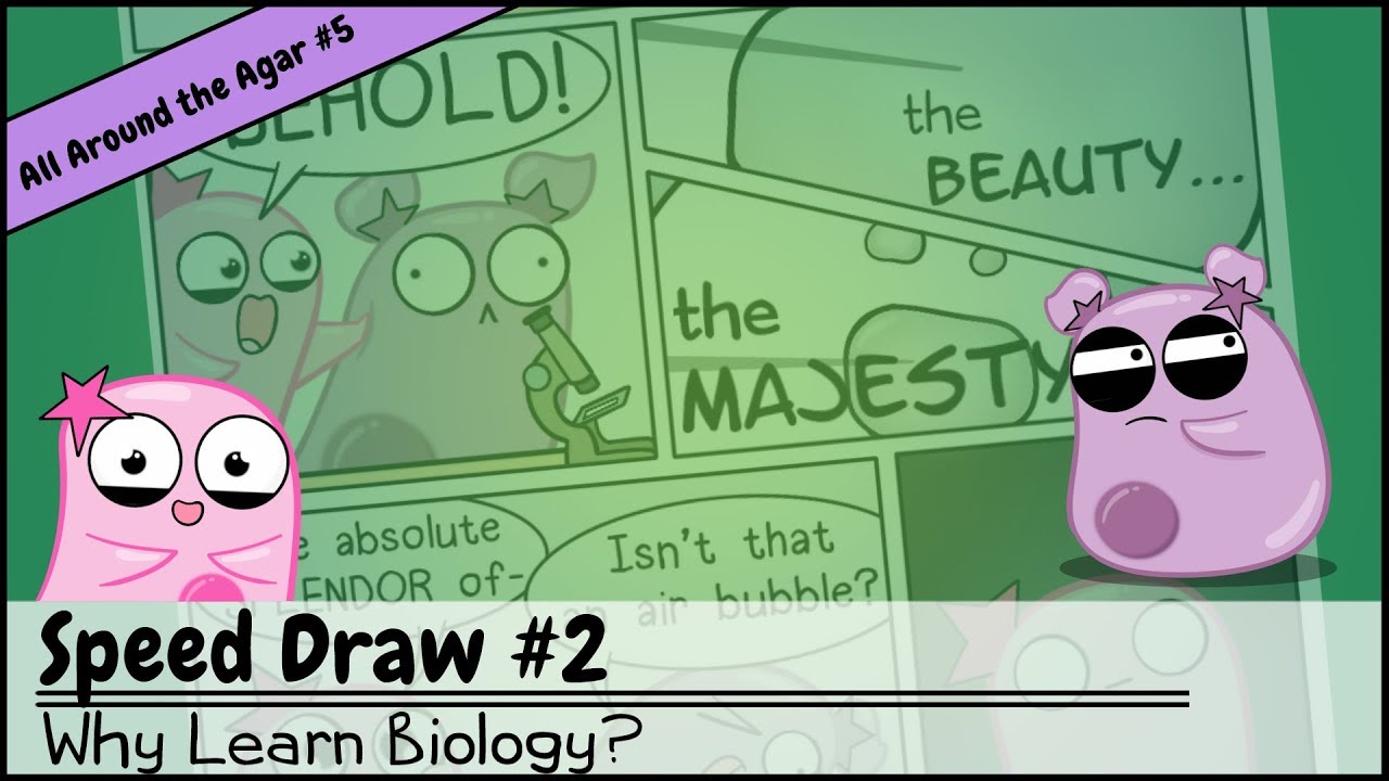 Speed Draw 2: Why Learn and Study Biology?