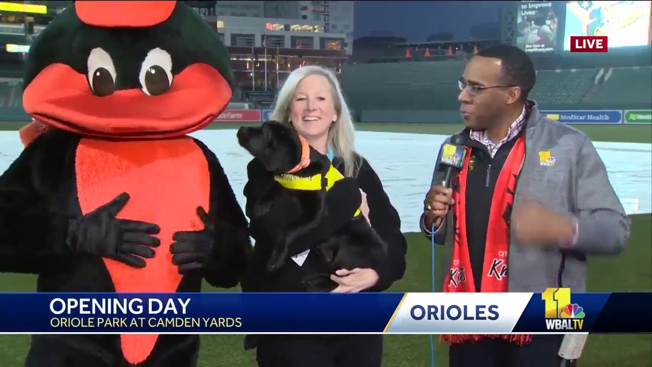 Camden, Oriole bird get acquainted on Opening Day