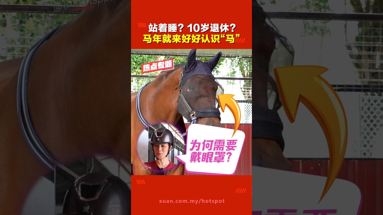 马年说马｜同样是马   骑乘马与赛马  过着不一样的“马生”