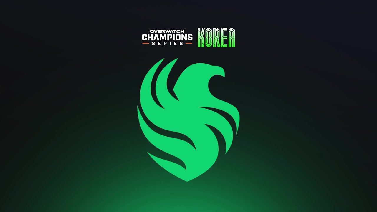 [팀 인터뷰] TEAM FALCONS｜OWCS KOREA STAGE 2
