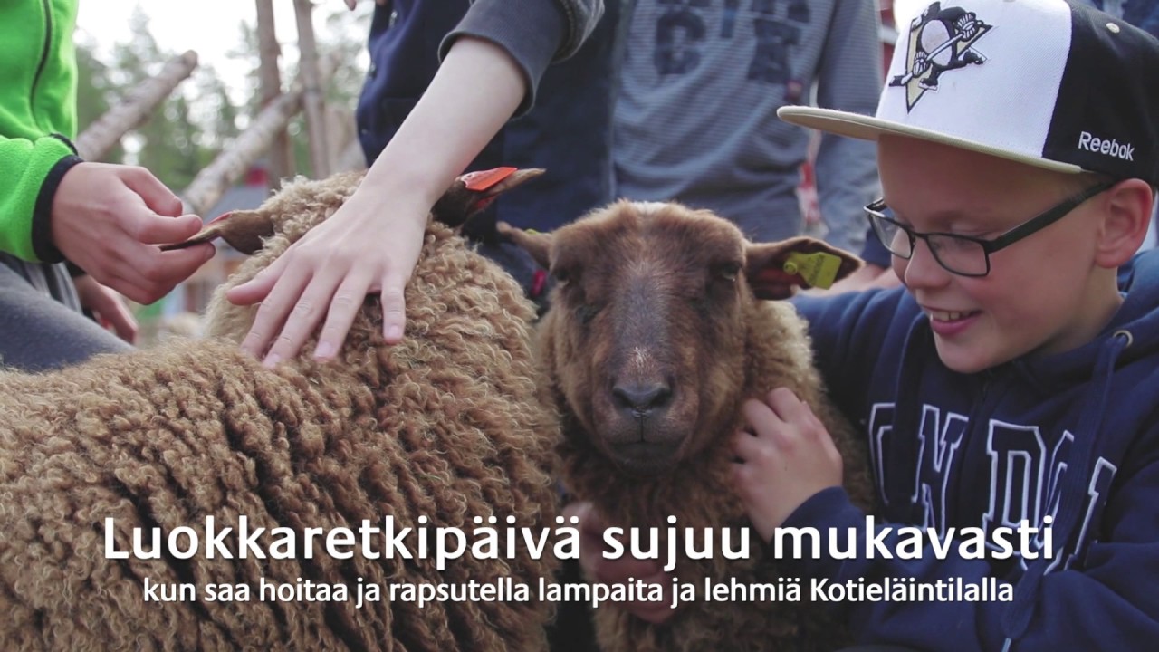 Luokkaretki Ähtäri Zoossa