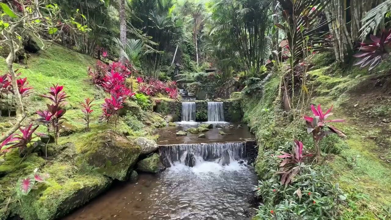 Relaxing Sounds for Creativity: Spark Your Creativity with the Peacefull Sounds of a River 