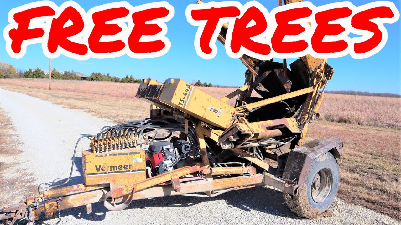 How to Move Your Own TREES