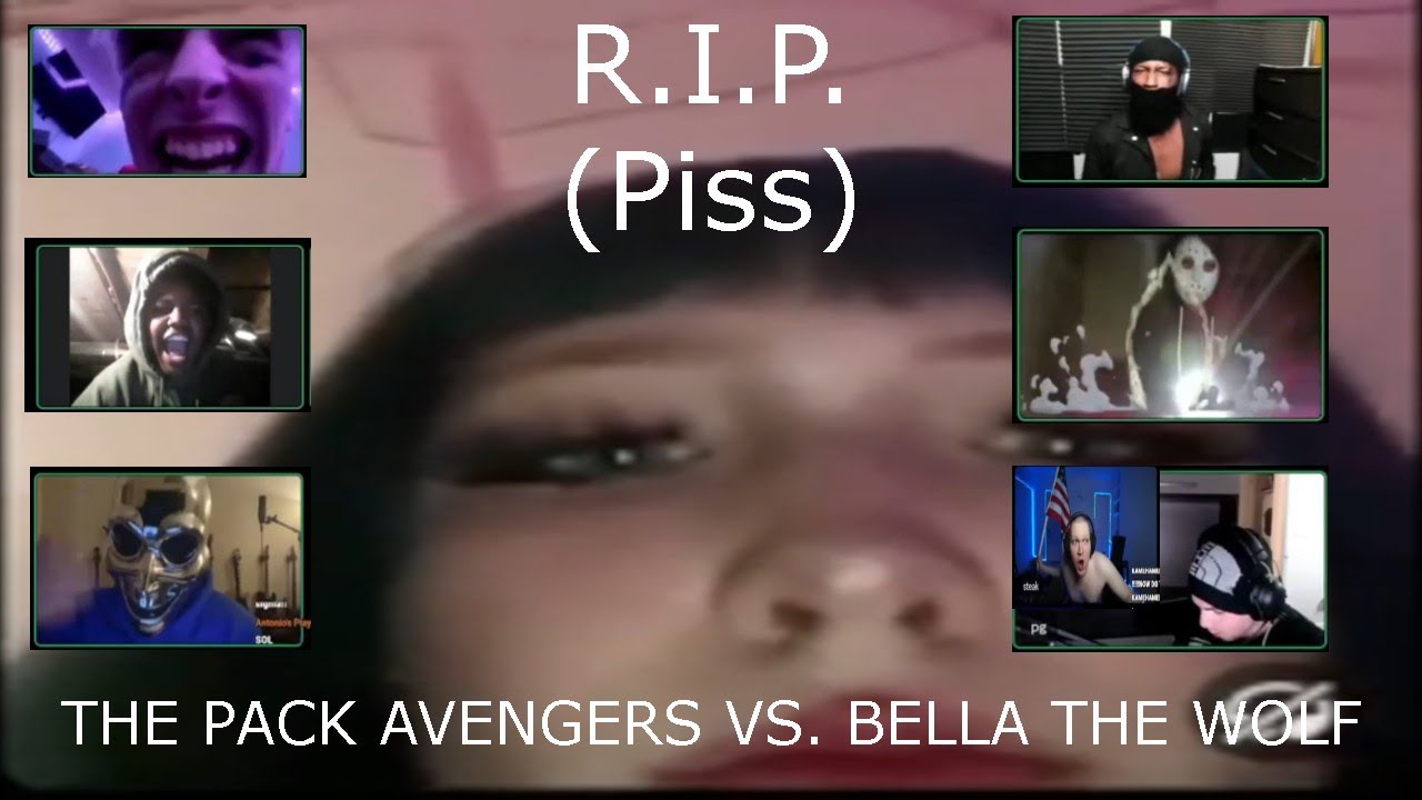 THE PACK AVENGERS VS. BELLA THE WOLF (full quality full stake stream clip)