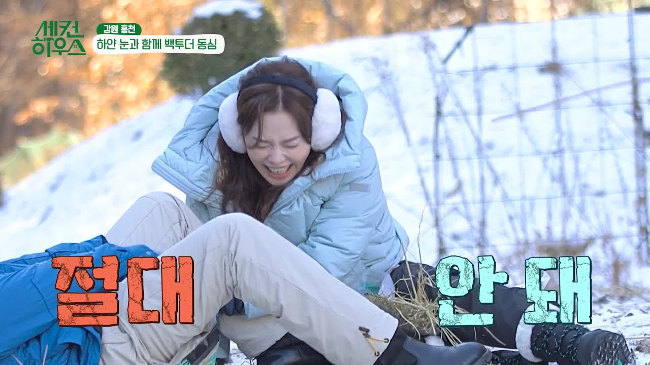 수종의 제안으로 시작된 눈썰매 팀 대결! 썰매 타다 시작된 잉꼬부부의 부부 싸움🤣 [세컨 하우스] | KBS 230105 방송