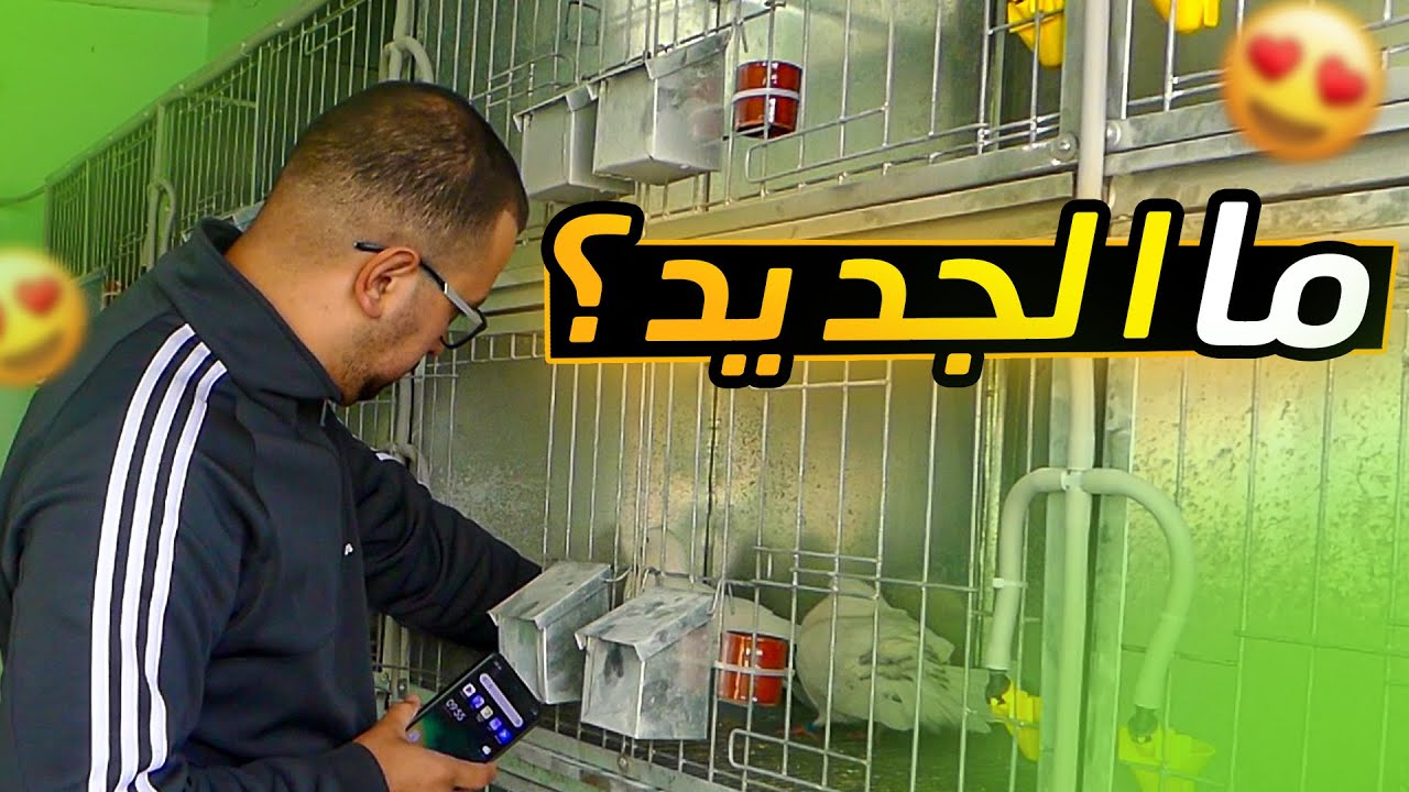 توليعة داخل السجنة والإجابة على بعض الأسئلة