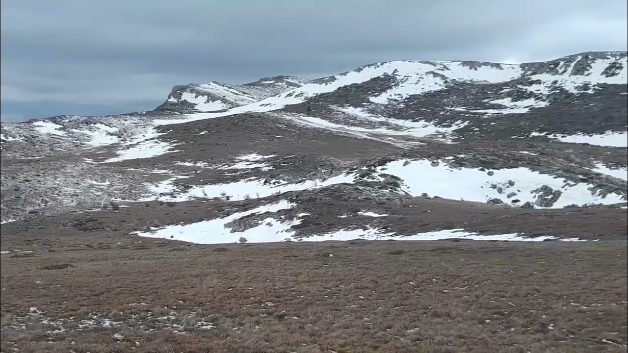 6 февраля 2026 г.