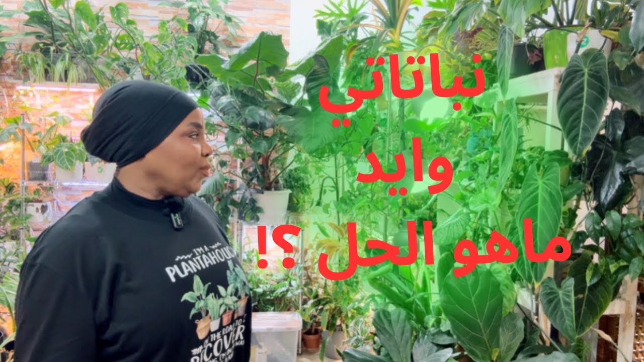 لا تشاهد اذا قلبك ضعيف | تخلصت من بعض نباتاتي المنزلية😱🌿