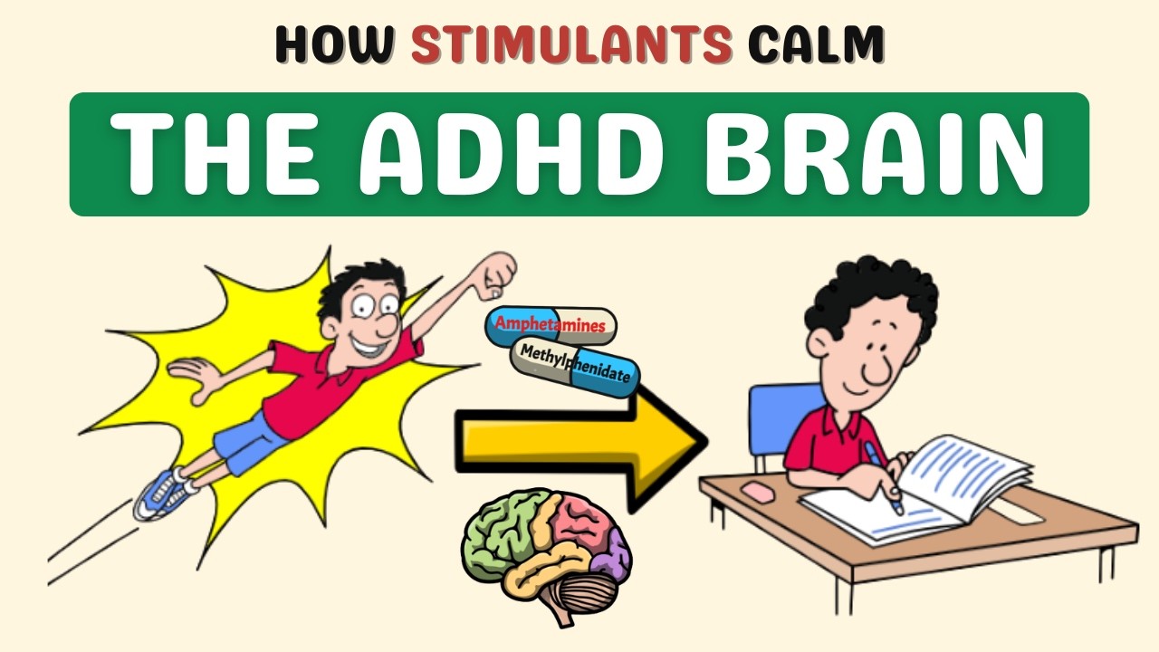 How Stimulants Calm the ADHD Brain. |ADHD Medications Explained Simply.