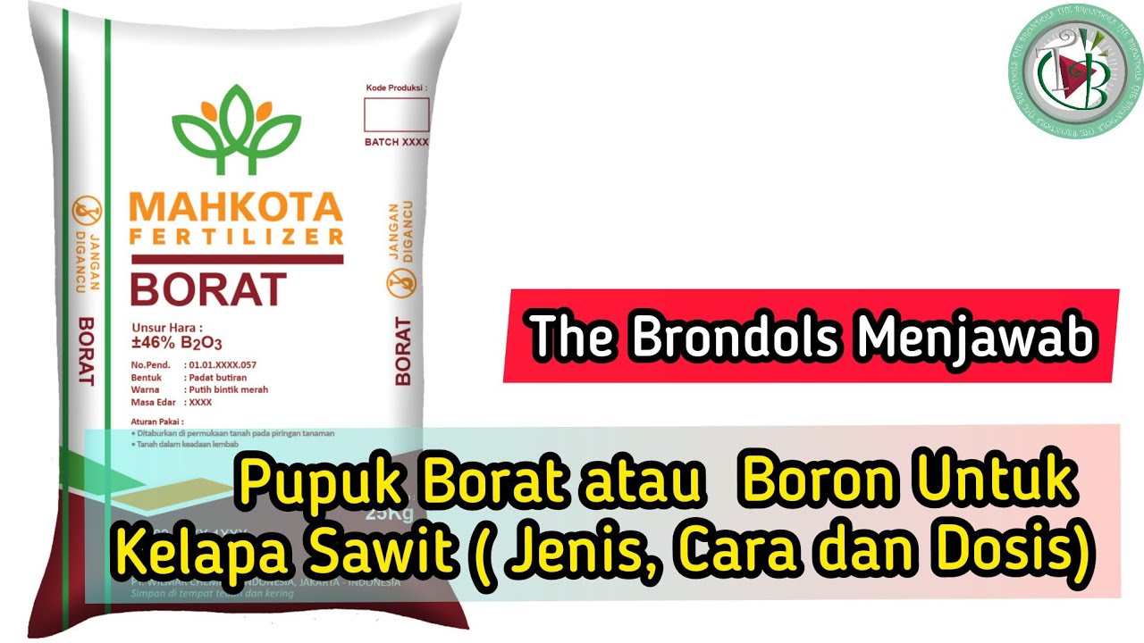 Pupuk Borat atau  Boron Untuk Kelapa Sawit ( Jenis, Cara dan Dosis)