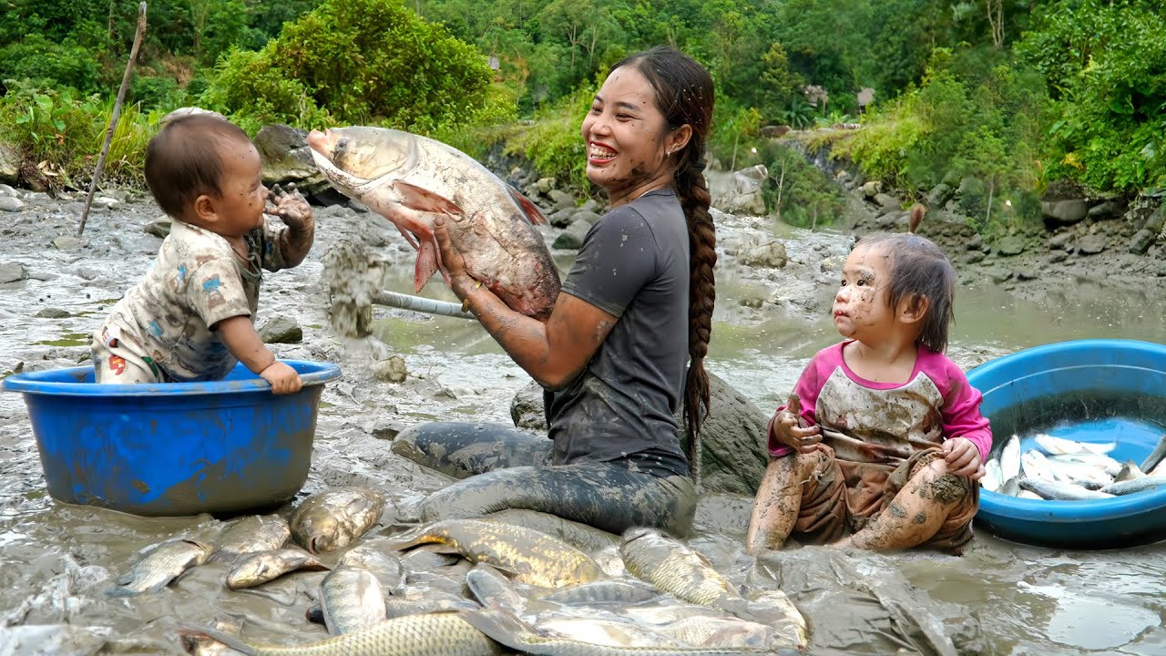 Harvesting Giant Mudfish with My Children in the Hot Season