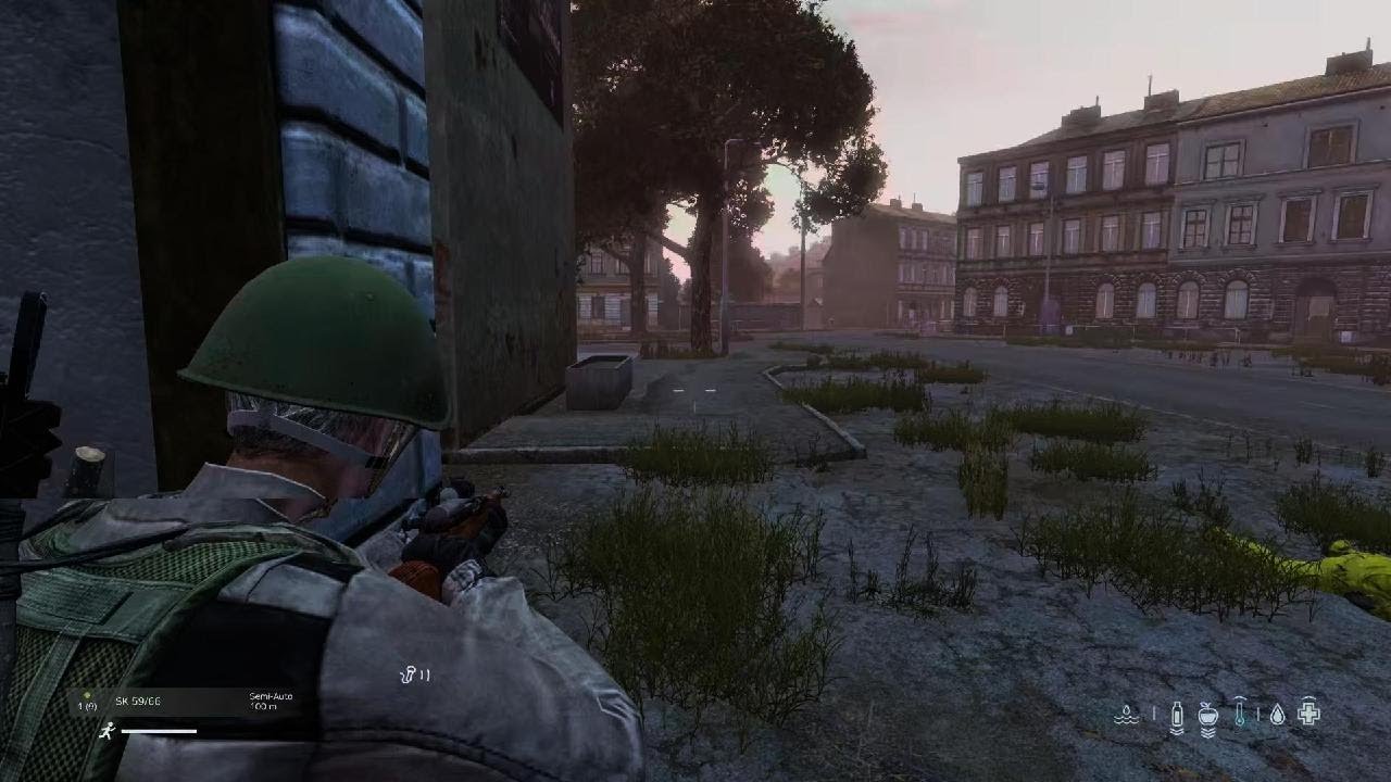DayZ_20241120183921