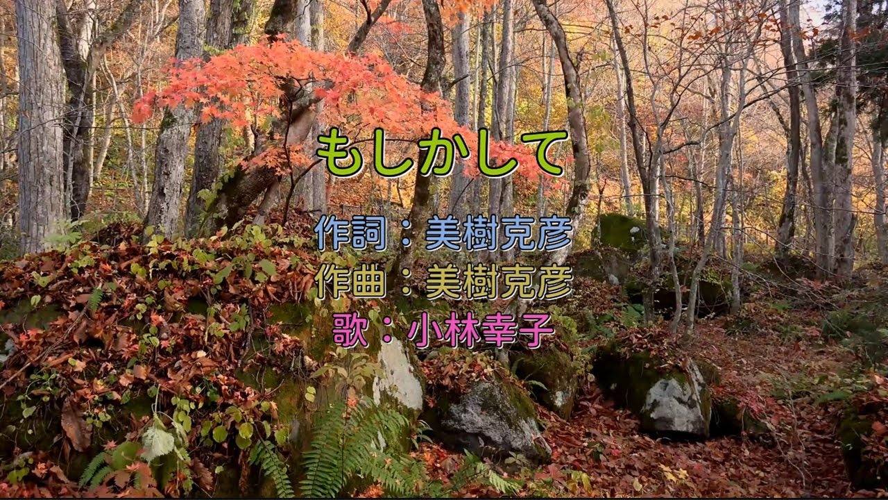 小林幸子  - もしかして 中譯