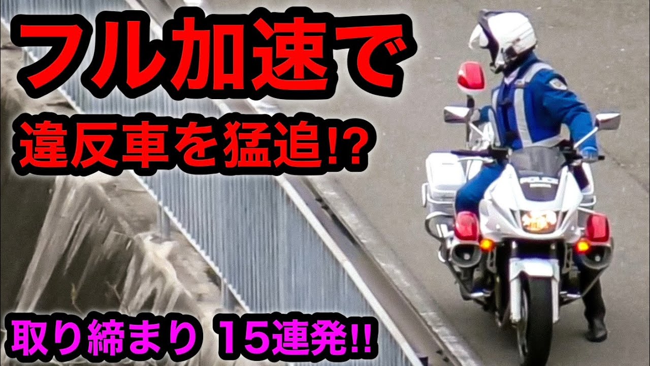 フル加速で違反車を追う白バイが凄い‼️ 取り締まり 15連発‼️　[サイレン 煽り運転 DQN スカッと]
