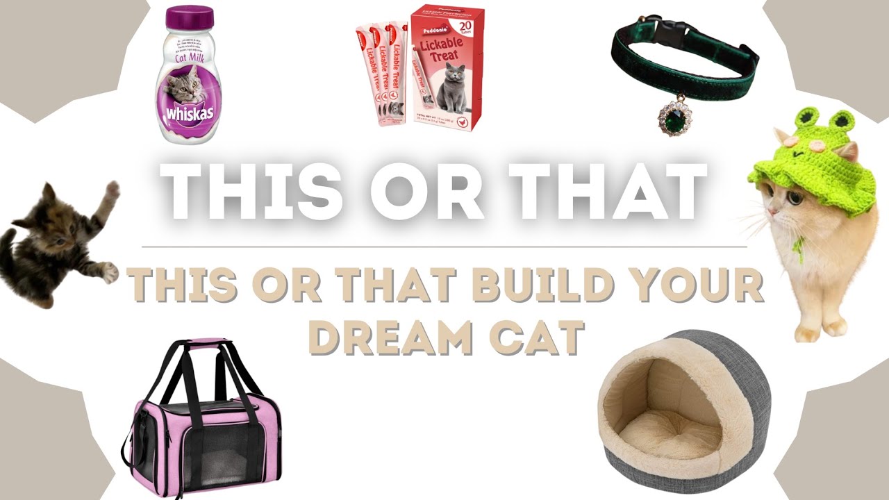 🐾 This or That: Build Your DREAM Cat ✨