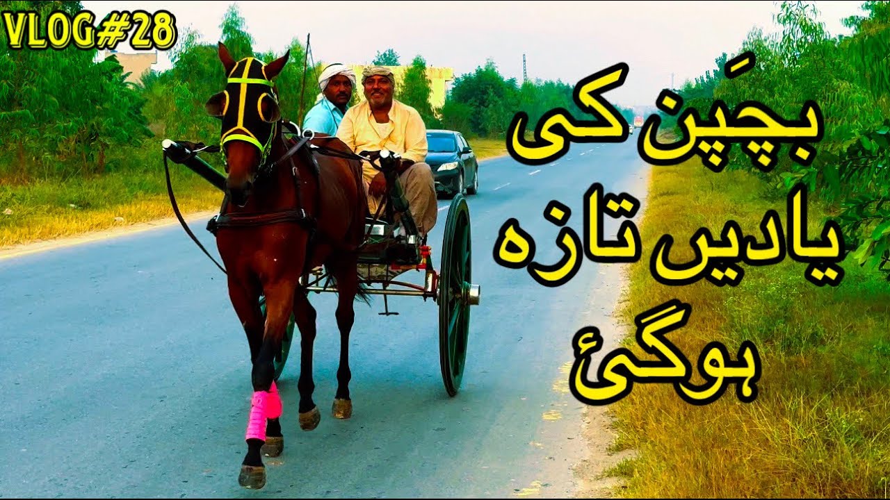 Village Life Morning Walk Vlog | #village #villagelife #morning