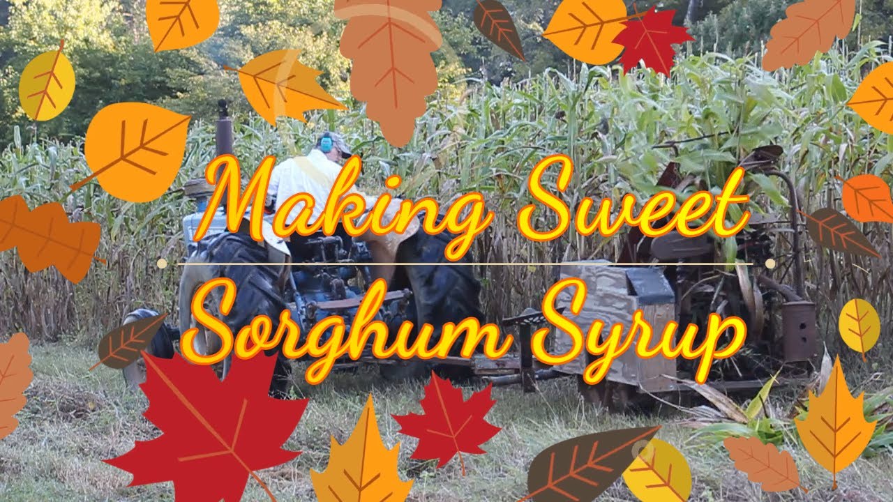 Making Sweet Sorghum Syrup