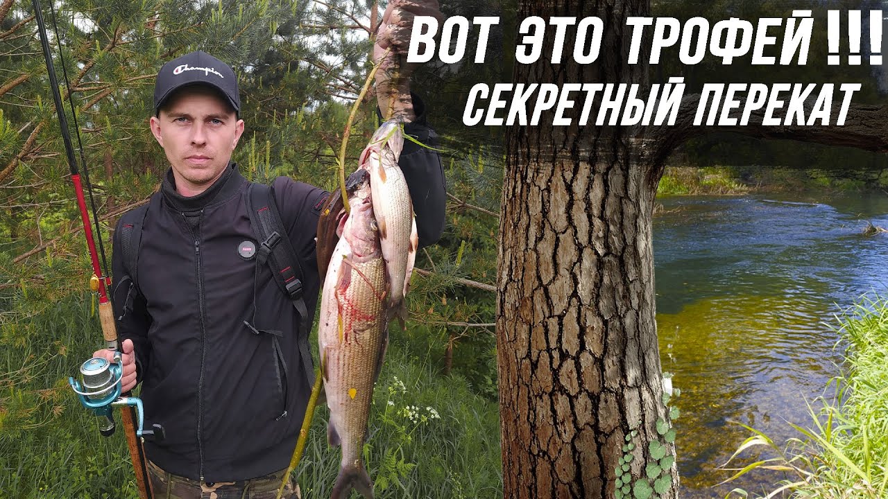 Рыбалка на поплавок  Хариус на таёжной реке