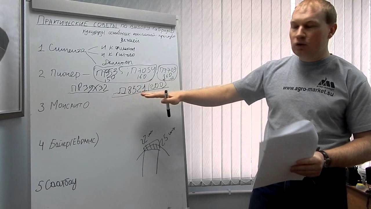 Практические советы по выбору гибридов кукурузы основных компаний-производителей.