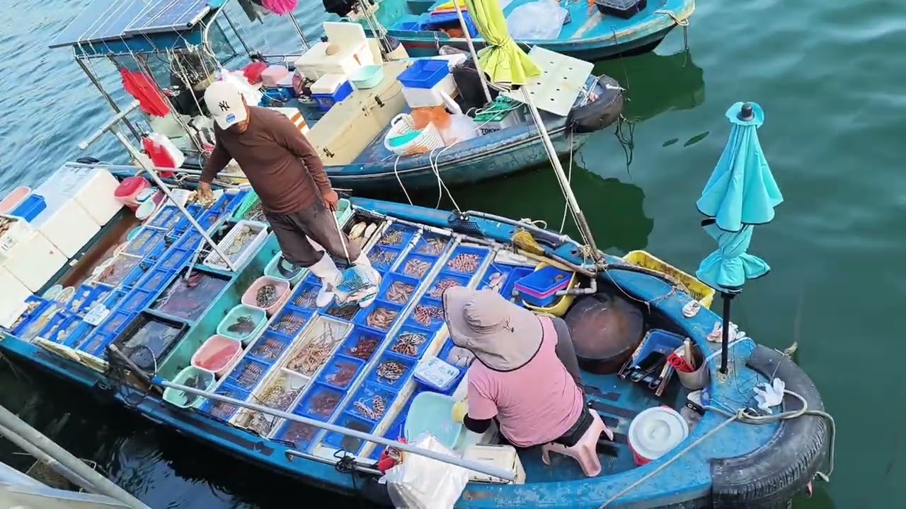 水上人的日常，用独特方式开拓市場