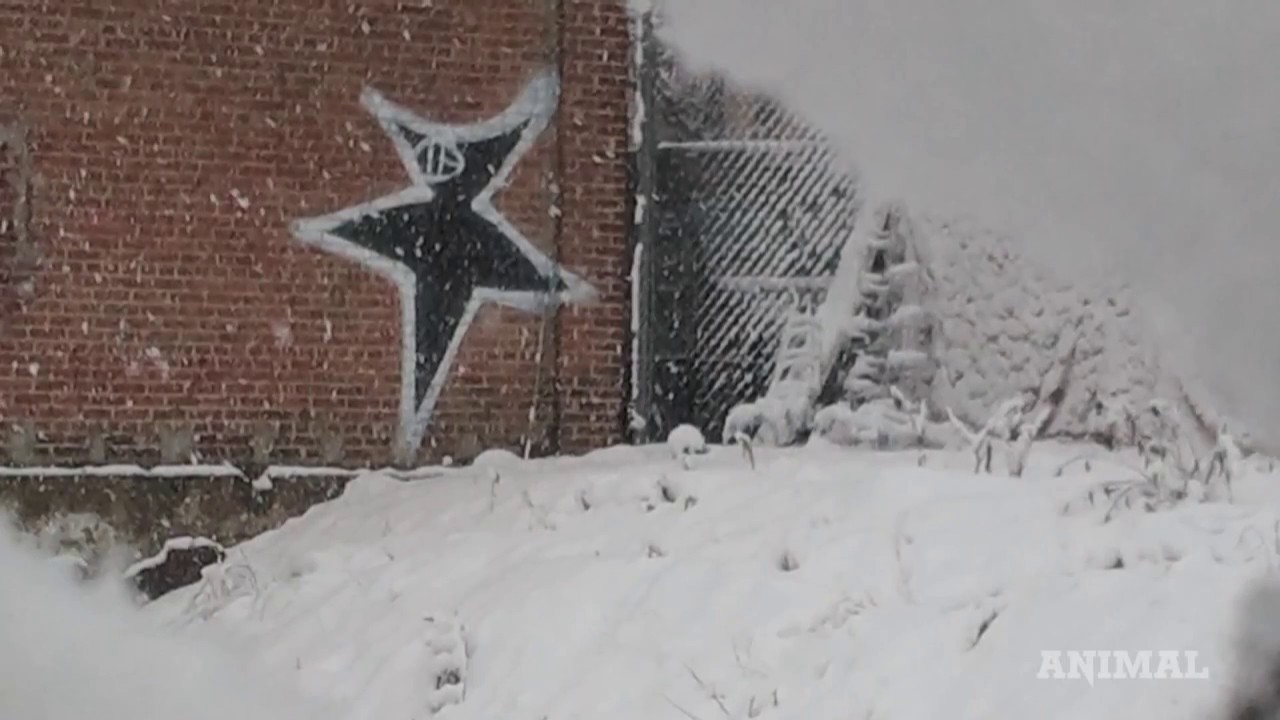 A Brief History of New York Graffiti Art
