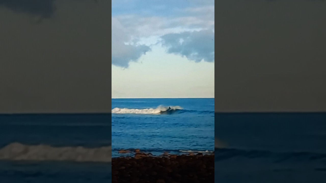 Second surf on the DAV twinzer #nzsurf #locallymade