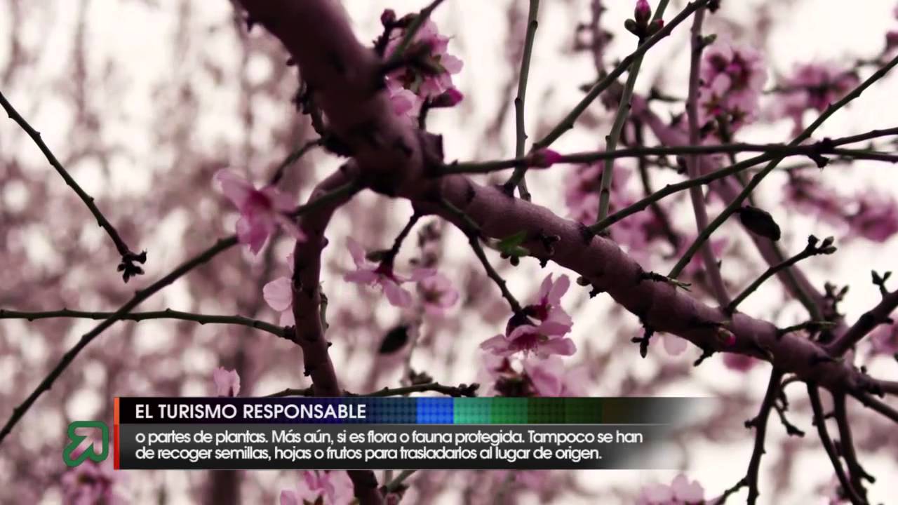 Turismo responsable