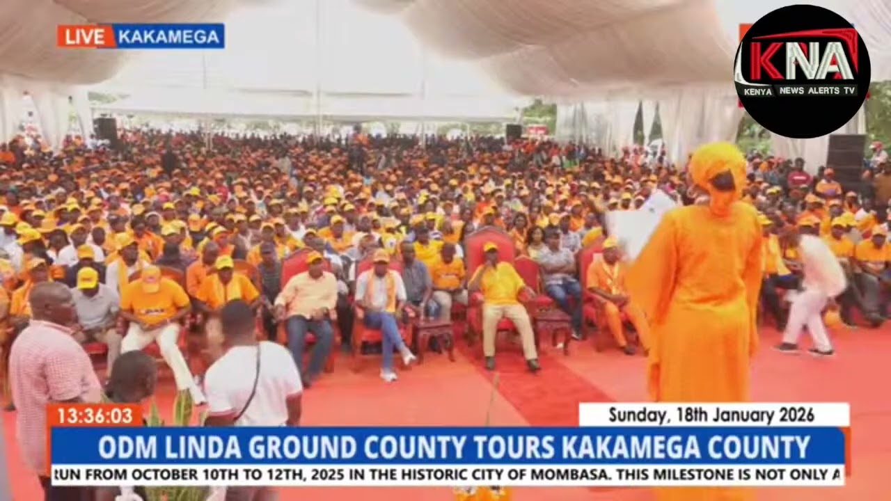 AS THE ODM PARTY WE WILL FORM THE GOVERNMENT.