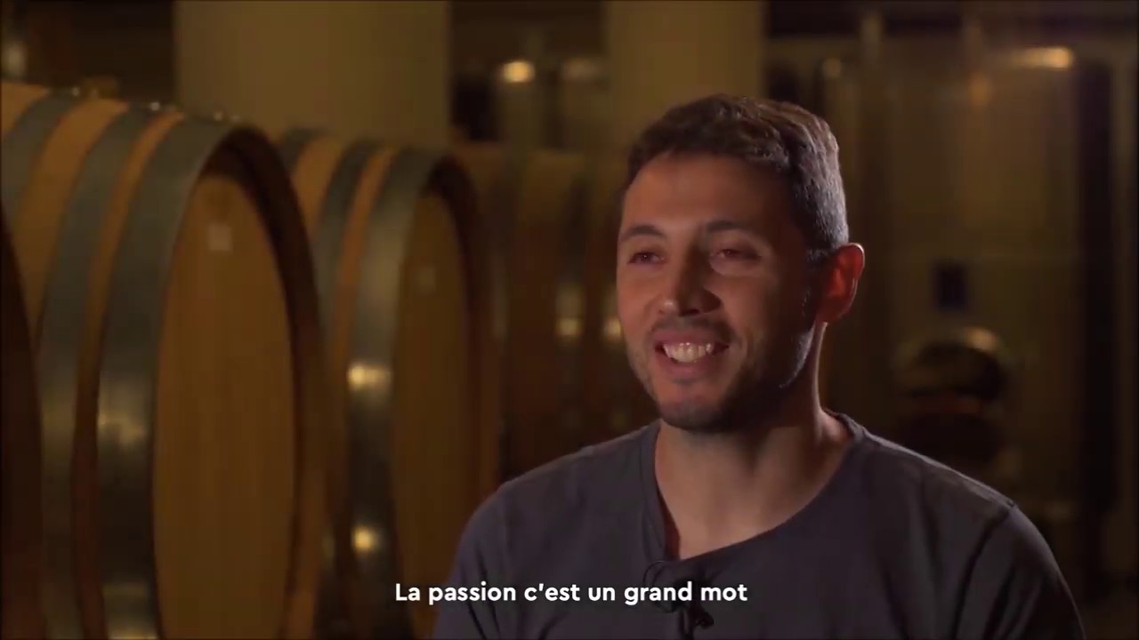 Investir en C&ocirc;te R&ocirc;tie - Domaine Gerin