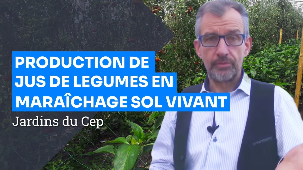 Comment cultive-t-on les légumes aux Jardins du CEP ?
