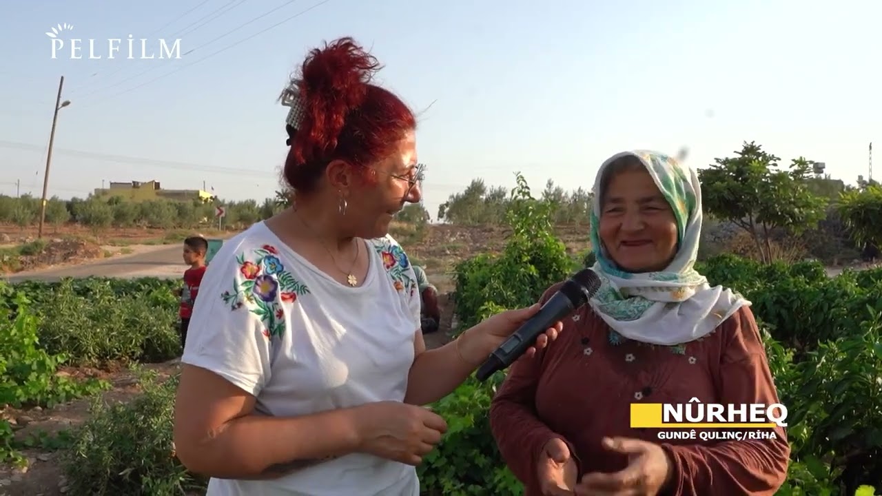 GUNDÊ QULINÇ RIHA ( Kesmetaş köyü Urfa Bozova) #elbistan #urfa #bozova #pelfilm #kurdistan #kurdi 