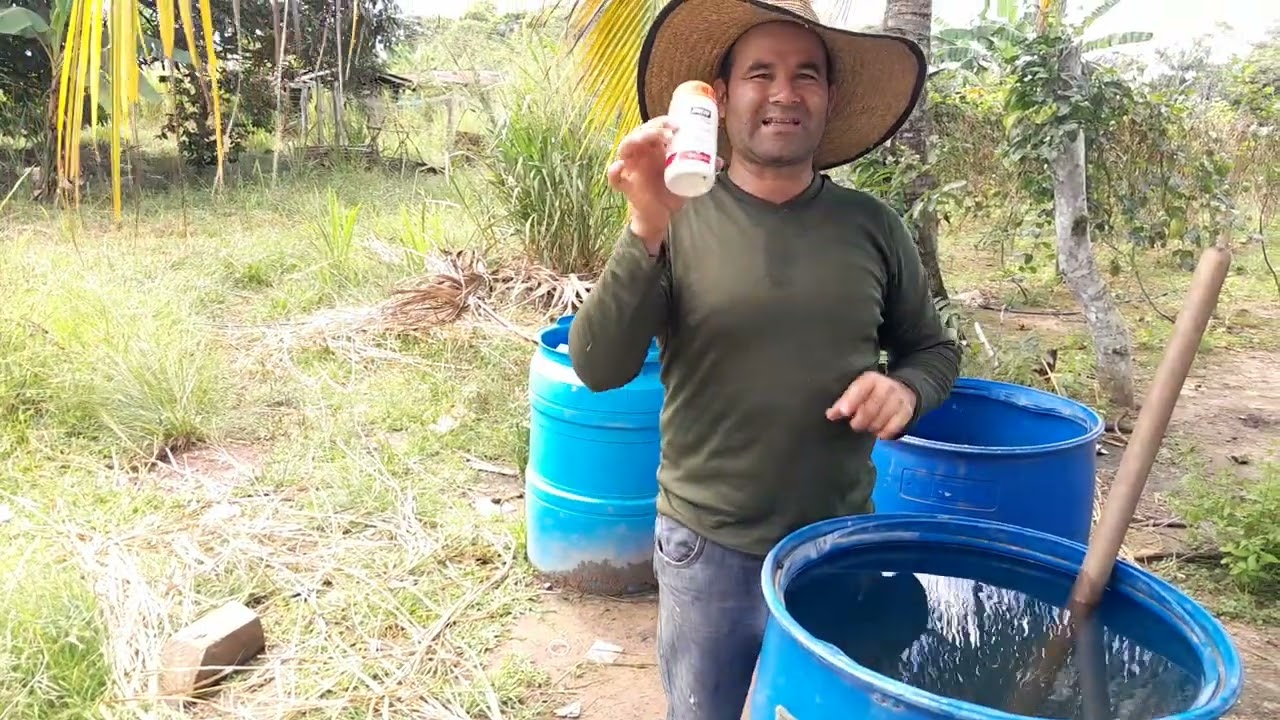 Control de plagas y hongos en el cultivo de maracuyá.
