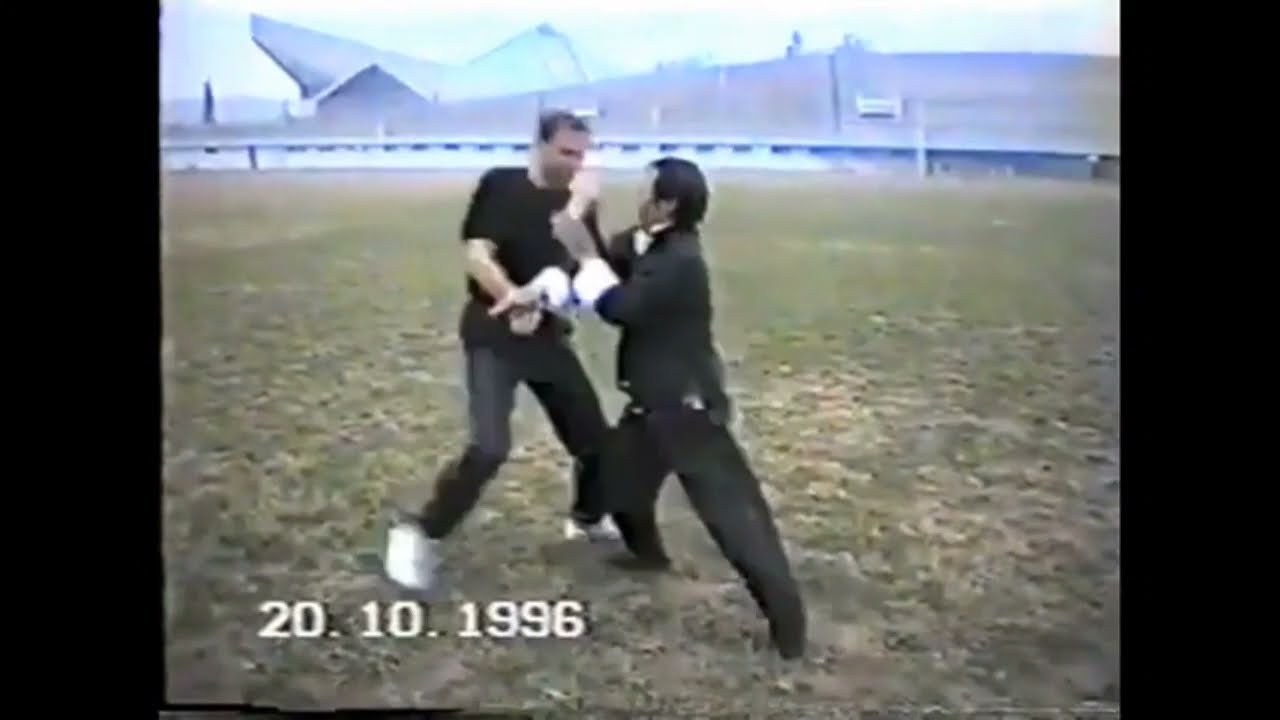 Wong Shun Leung 1996