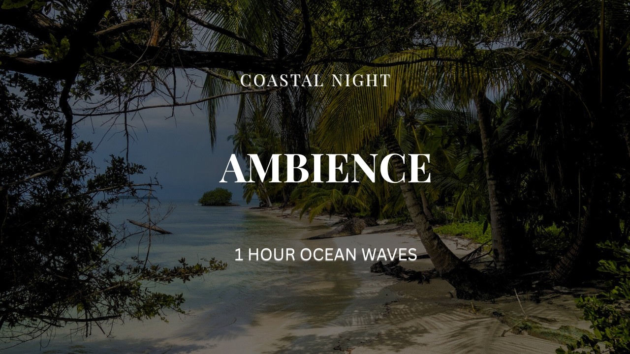 Coastal Night Ambience 🌊 Gentle Ocean Waves for Deep Sleep (1 Hour)