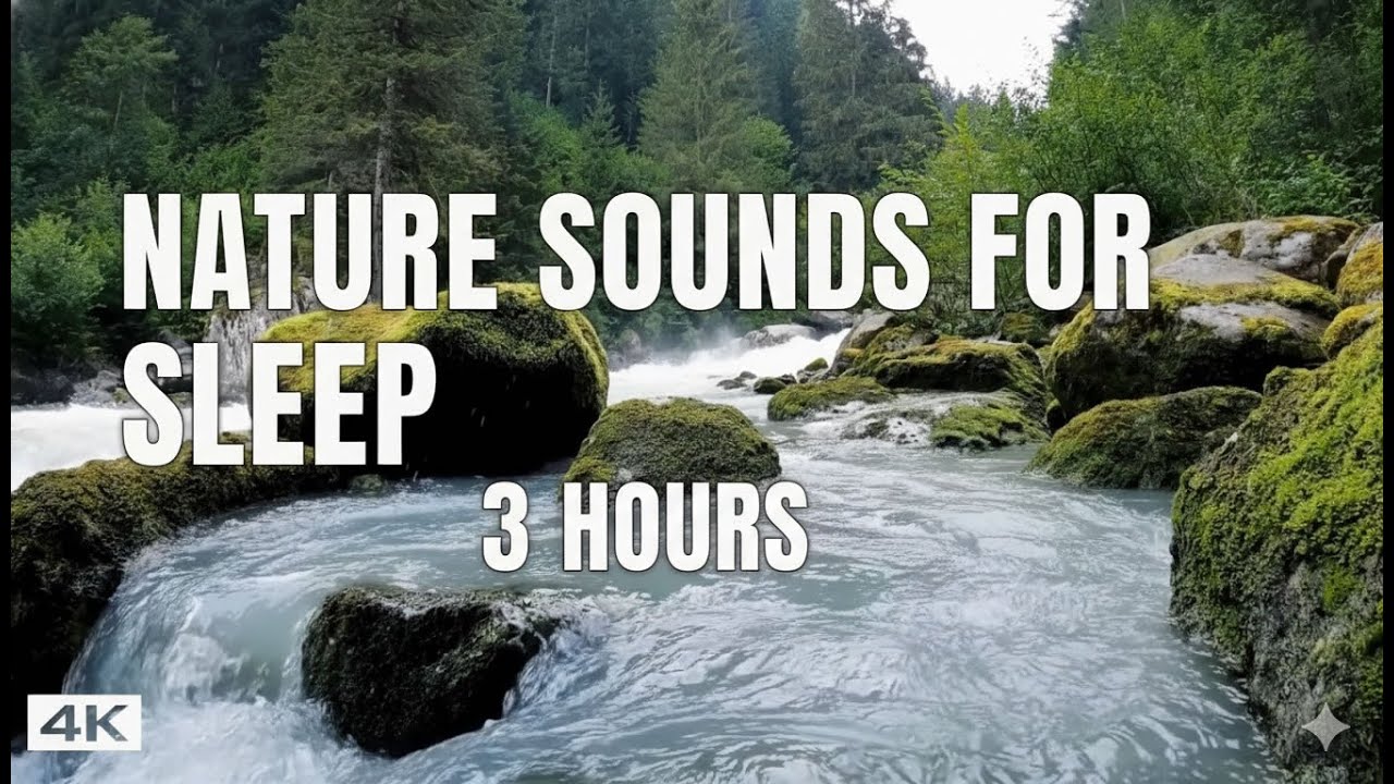 3 Hours Relaxing River Sounds for Sleeping and Studying | 4K Nature